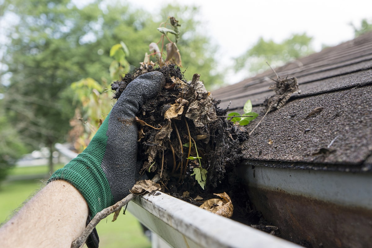 Keep Gutters Sparkling: Why We Need To Wash Our Downspouts