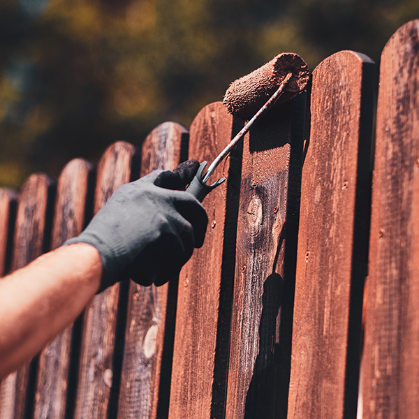 Johnson City Deck & Fence Cleaning Services
